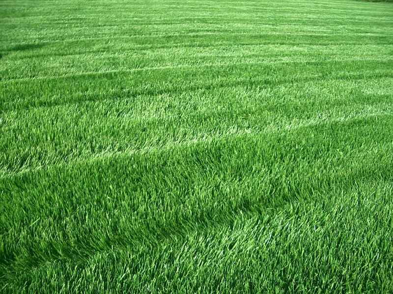 Пример работы 2