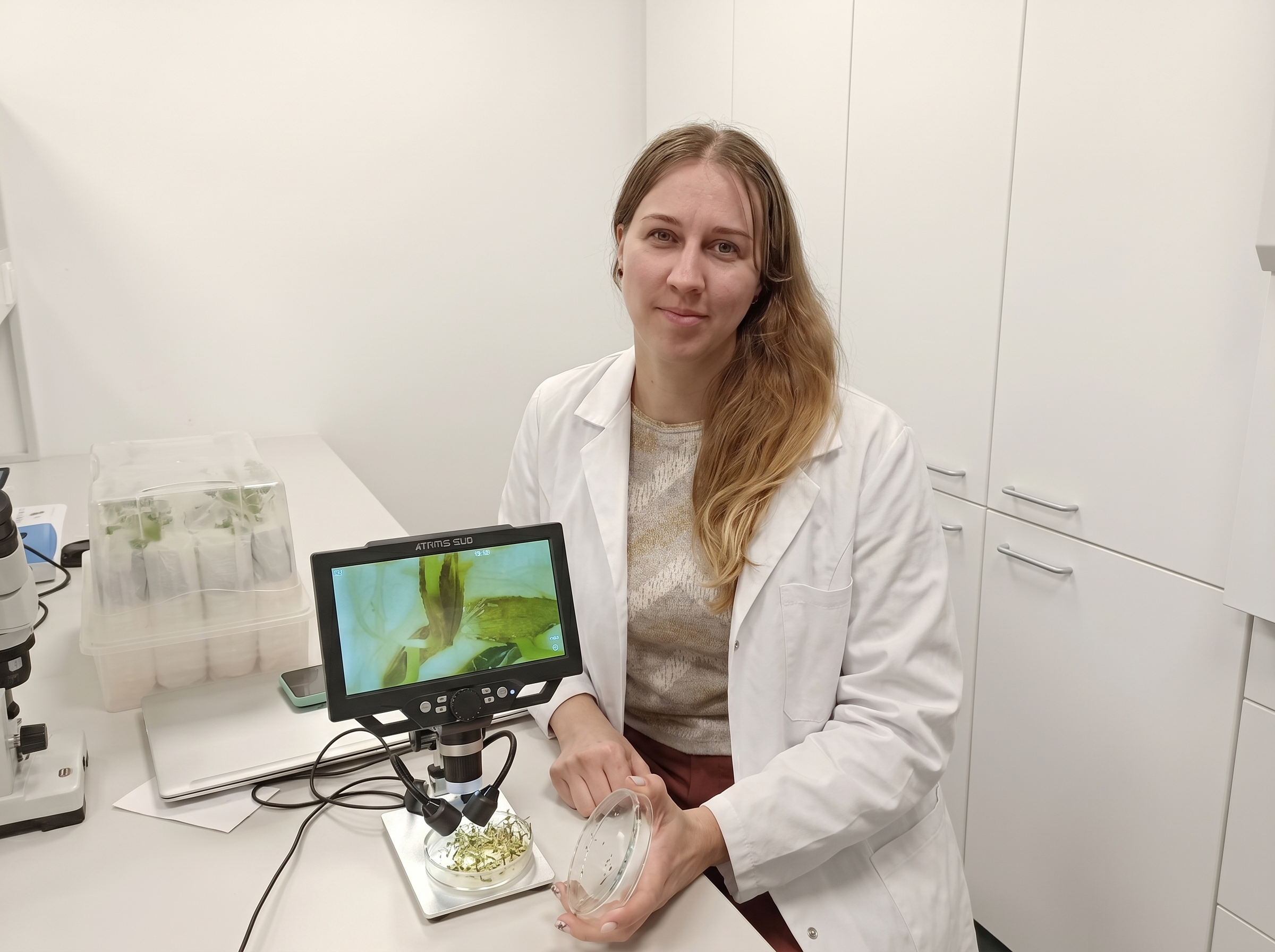 Лабораторное исследование