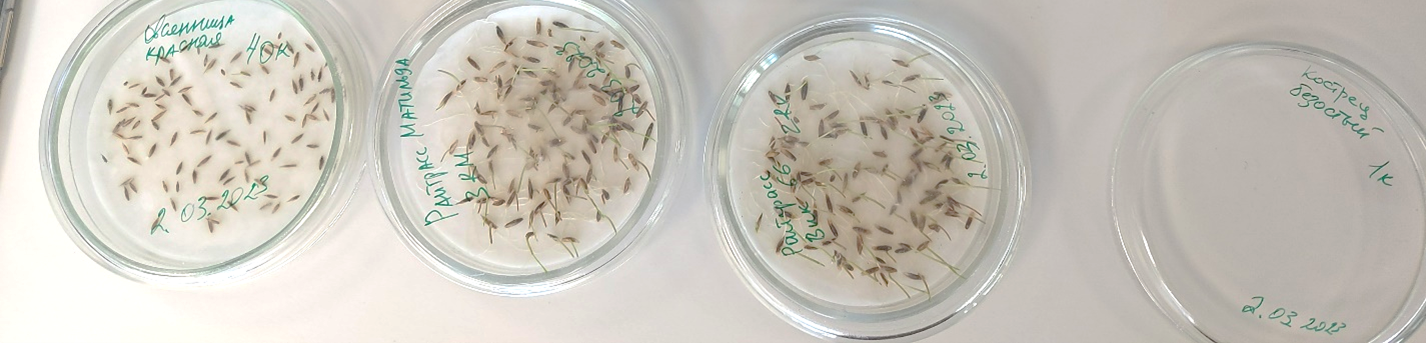 Травы под микроскопом